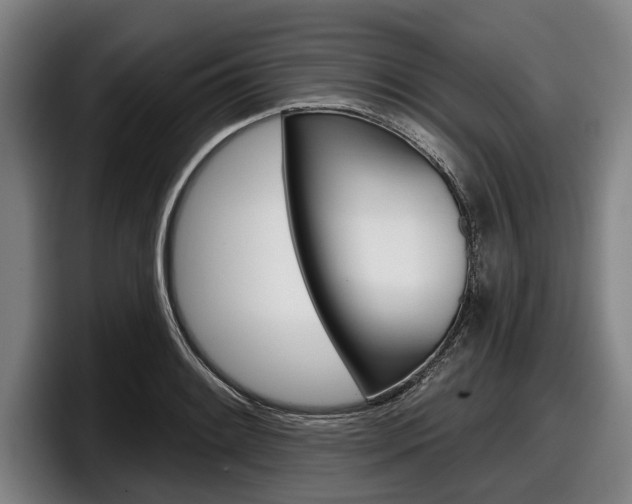 X0000098151084200804171151
