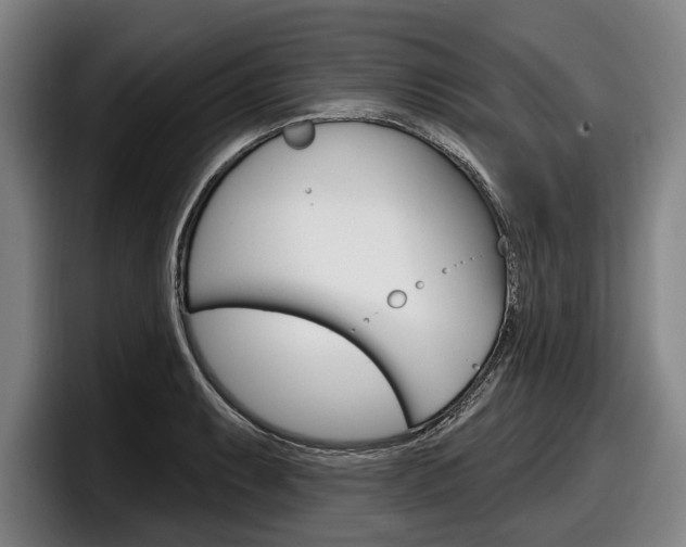 X0000098151087200804171151
