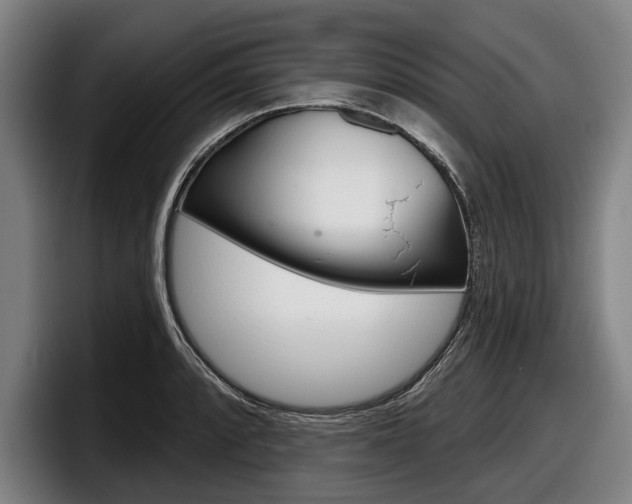 X0000098151088200804171151