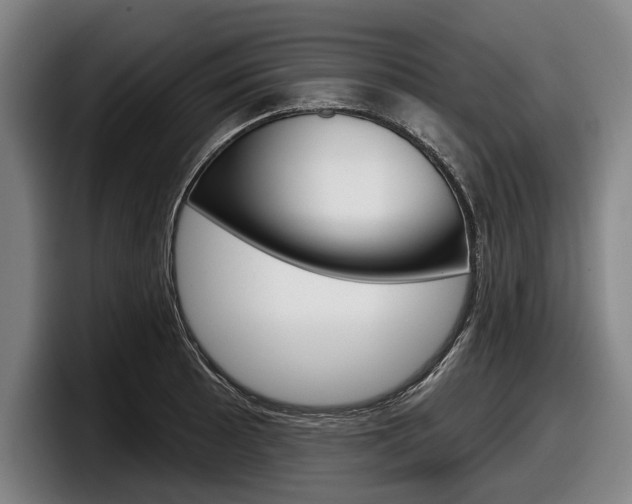 X0000098151089200804171151