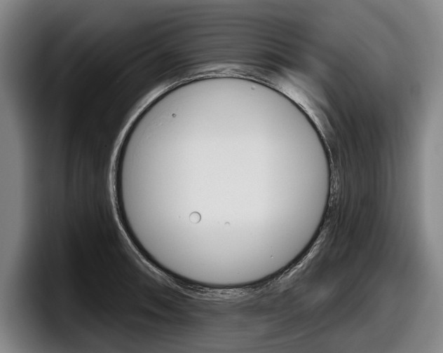 X0000098151090200804171151
