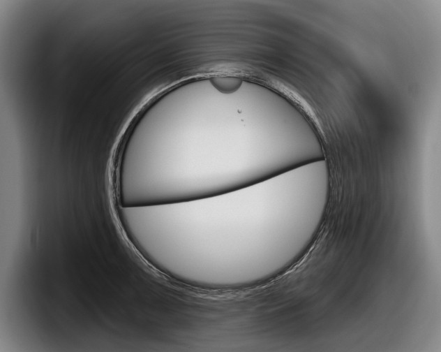 X0000098151091200804171151