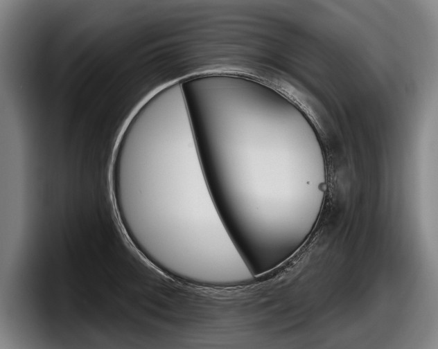X0000098151092200804171151