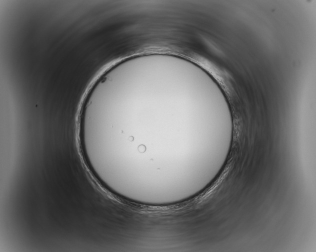 X0000098151094200804171151