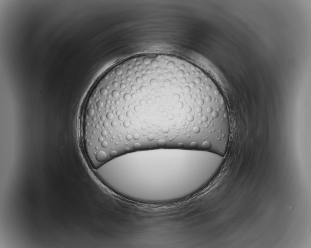 X0000098151095200804171151