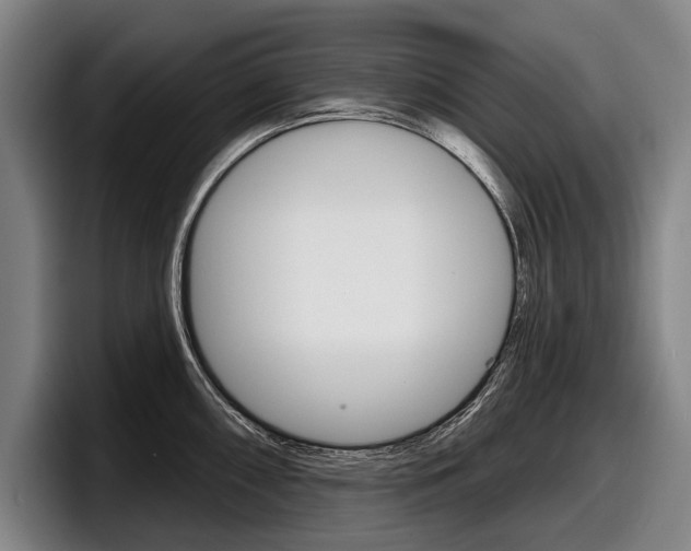 X0000098151098200804171151
