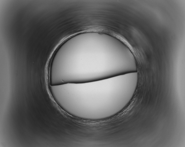 X0000098151099200804171151