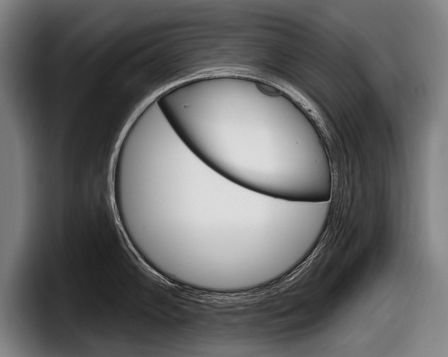 X0000098151102200804171151