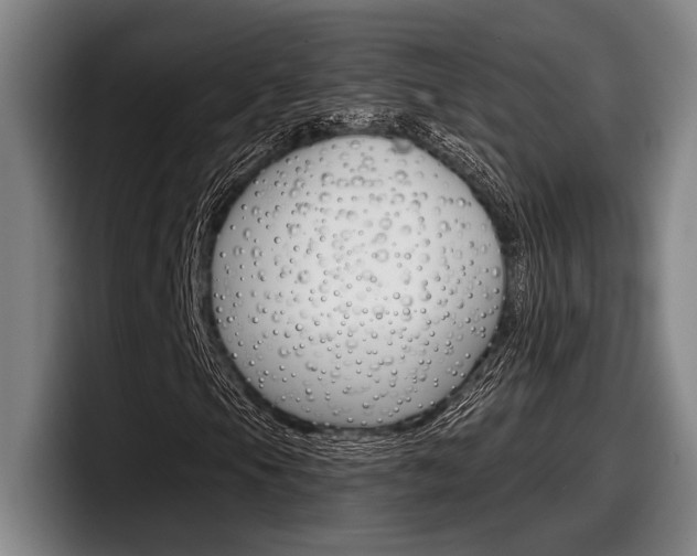 X0000098151105200804171151