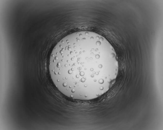 X0000098151106200804171151