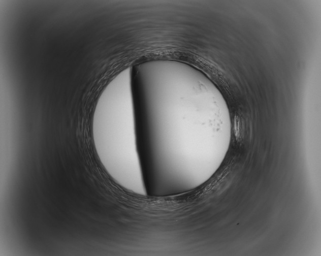 X0000098151107200804171151