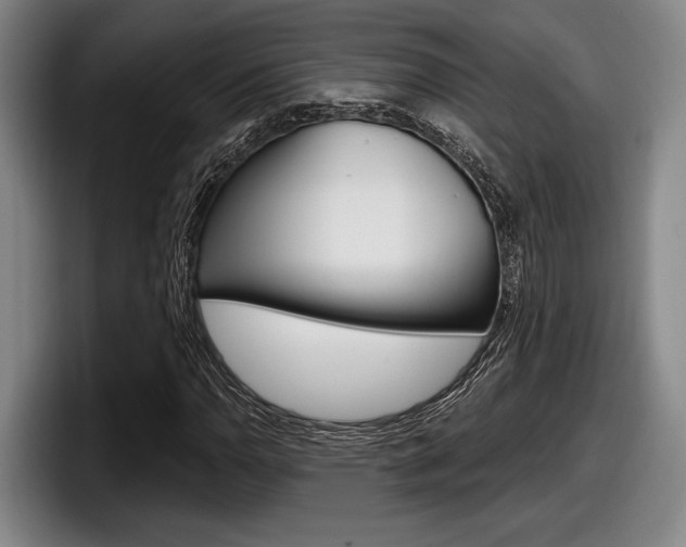 X0000098151110200804171151