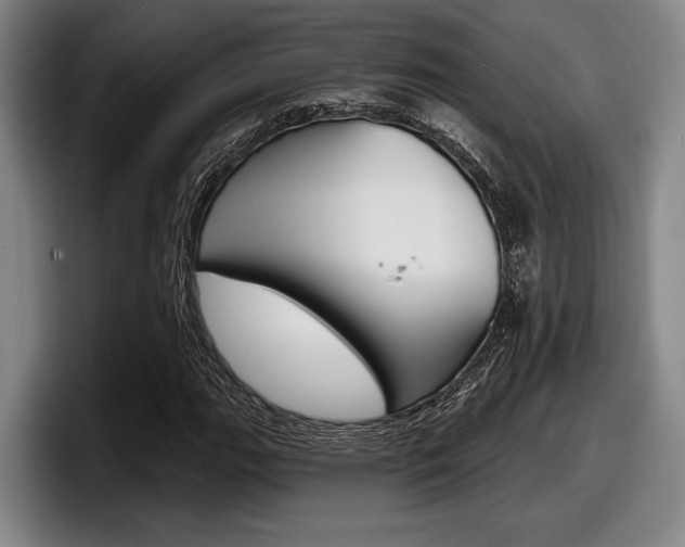 X0000098151111200804171151