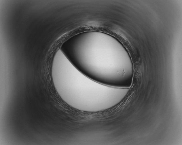 X0000098151112200804171151