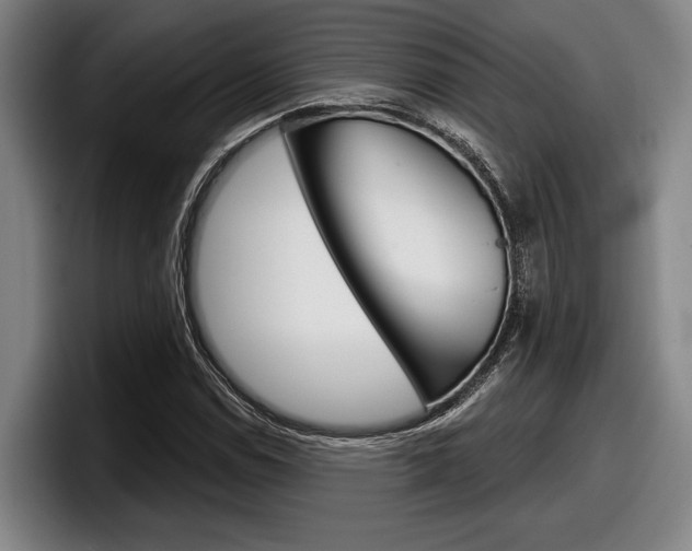 X0000098151114200804171151