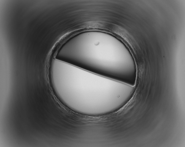 X0000098151115200804171151