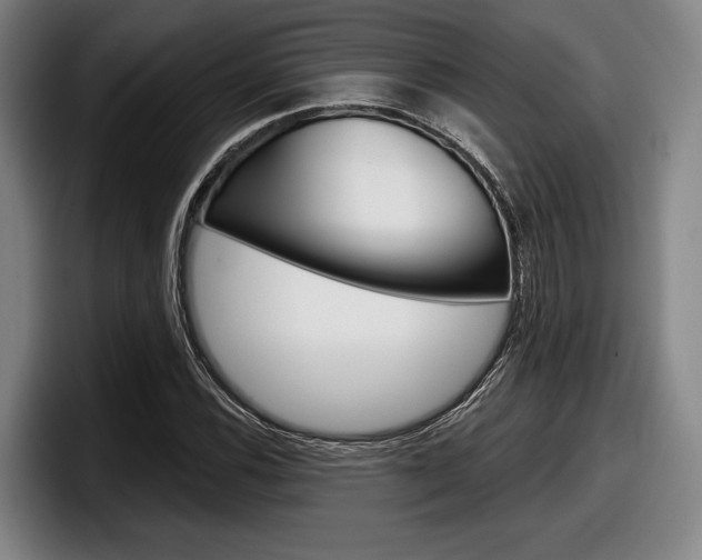 X0000098151116200804171151