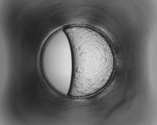 X0000098151117200804171151