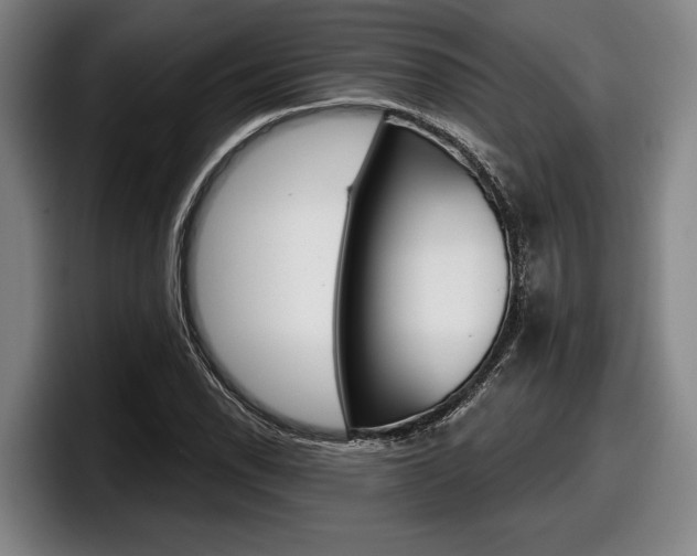 X0000098151118200804171151