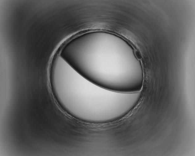 X0000098151120200804171151
