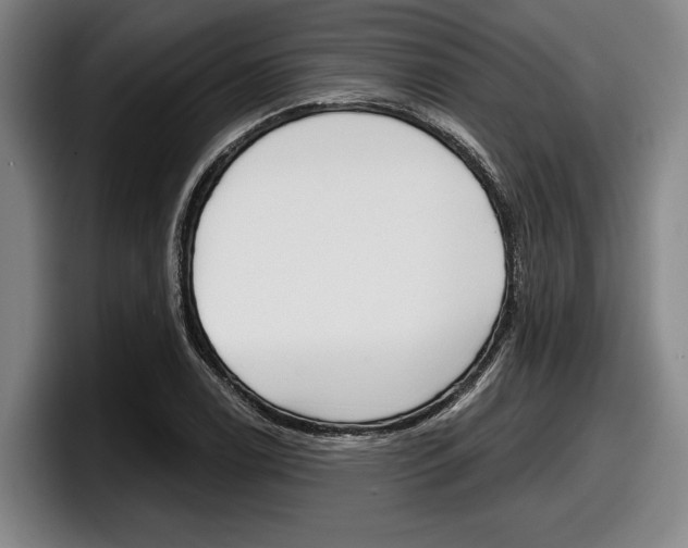 X0000098151122200804171151