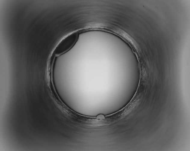 X0000098151124200804171151
