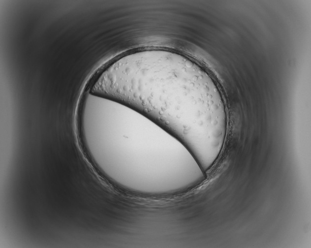 X0000098151125200804171151
