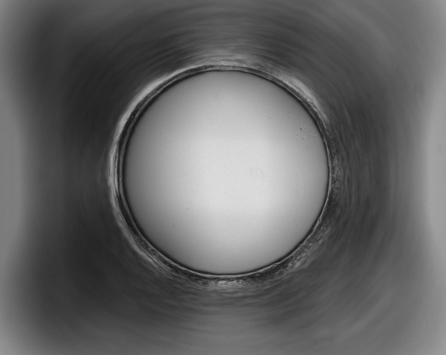 X0000098151128200804171151