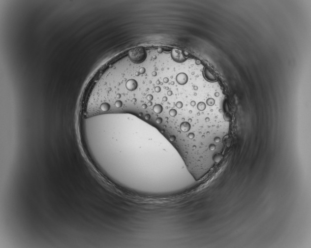 X0000098151130200804171151