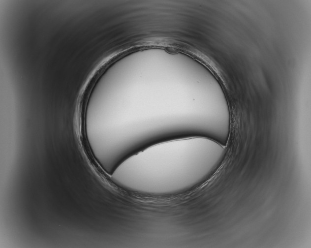 X0000098151131200804171151