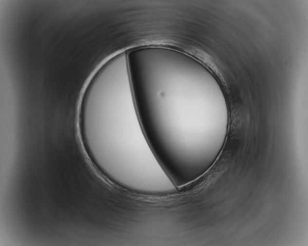 X0000098151132200804171151