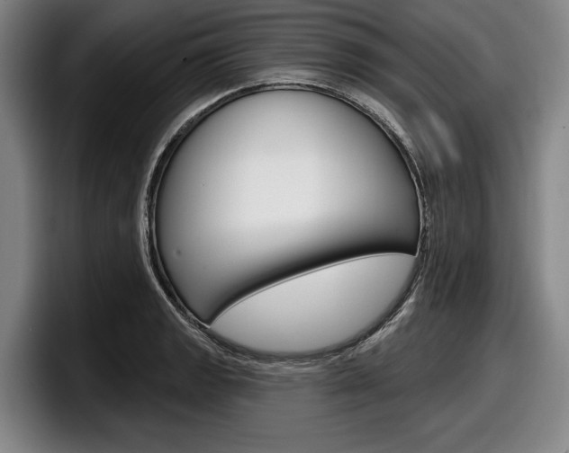 X0000098151133200804171151