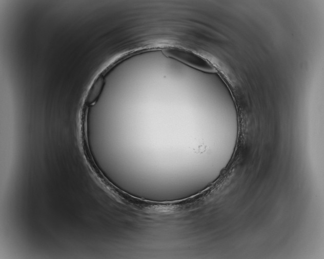 X0000098151134200804171151