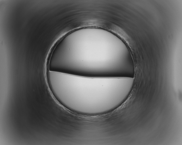 X0000098151135200804171151