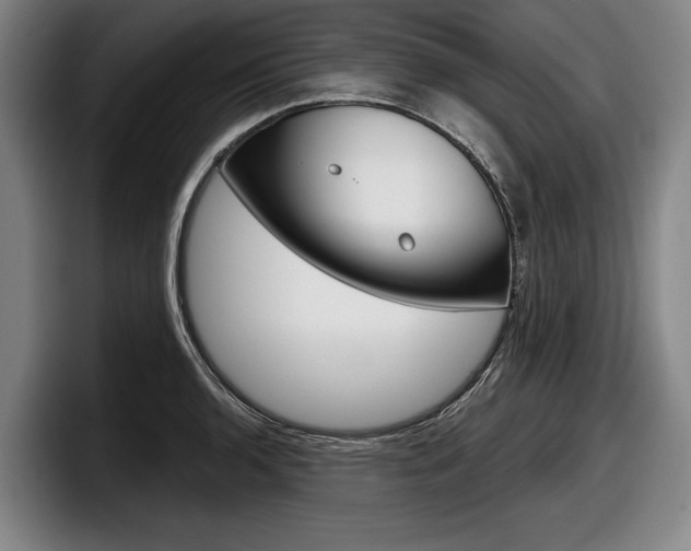 X0000098151136200804171151