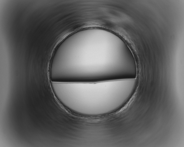 X0000098151137200804171151
