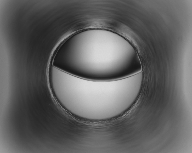 X0000098151138200804171151