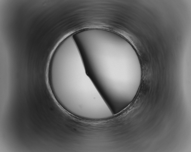 X0000098151139200804171151