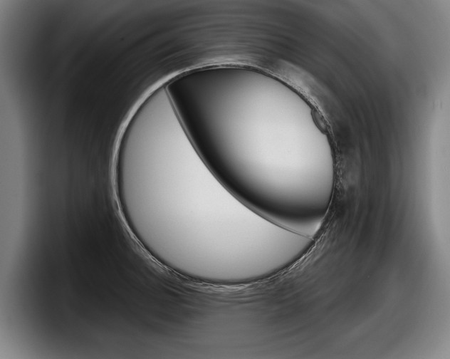 X0000098151140200804171151