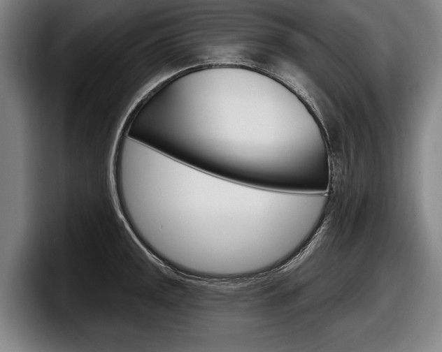 X0000098151141200804171151