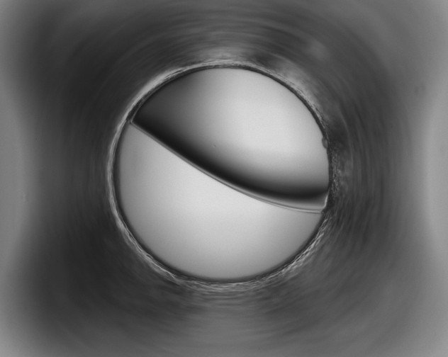 X0000098151142200804171151