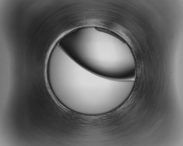 X0000098151144200804171151