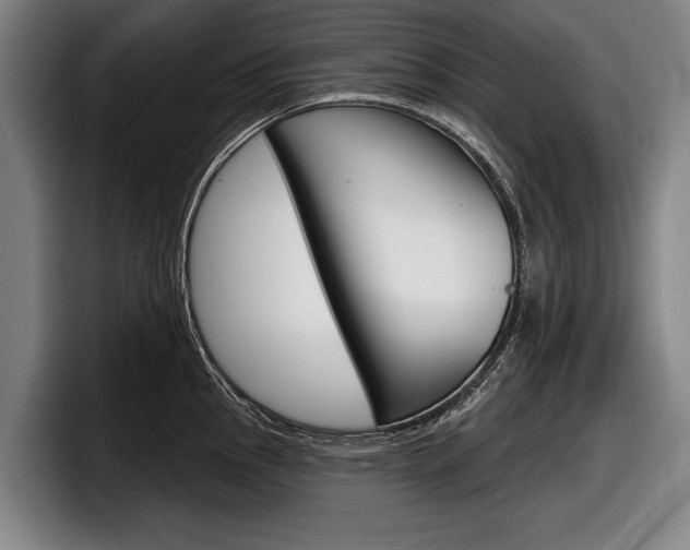 X0000098151145200804171151