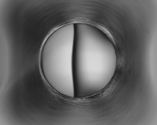 X0000098151146200804171151