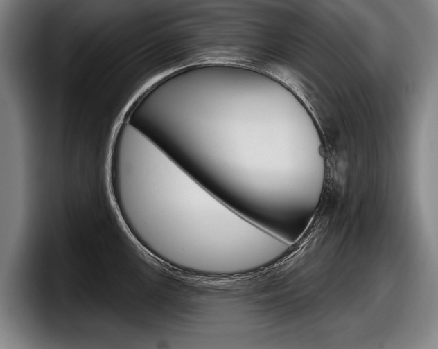 X0000098151147200804171151