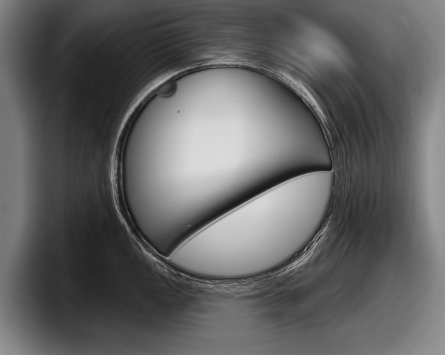 X0000098151149200804171151