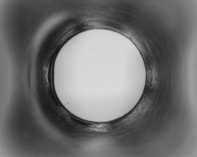 X0000098151150200804171151