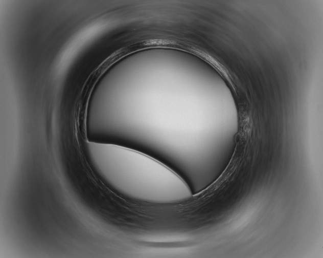 X0000098151151200804171151
