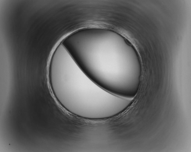 X0000098151152200804171151