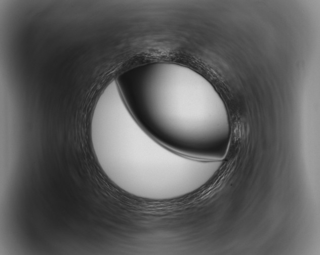 X0000098151156200804171151